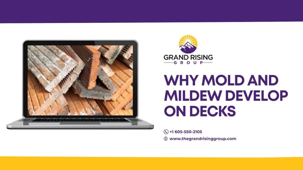 Effective Ways to Prevent Mold and Mildew on Outdoor Decking 1 77 blog option 2 1