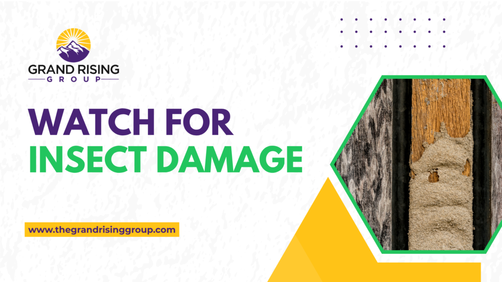 Essential Fence Maintenance Tips to Prevent Wood Rot and Damage 1 286